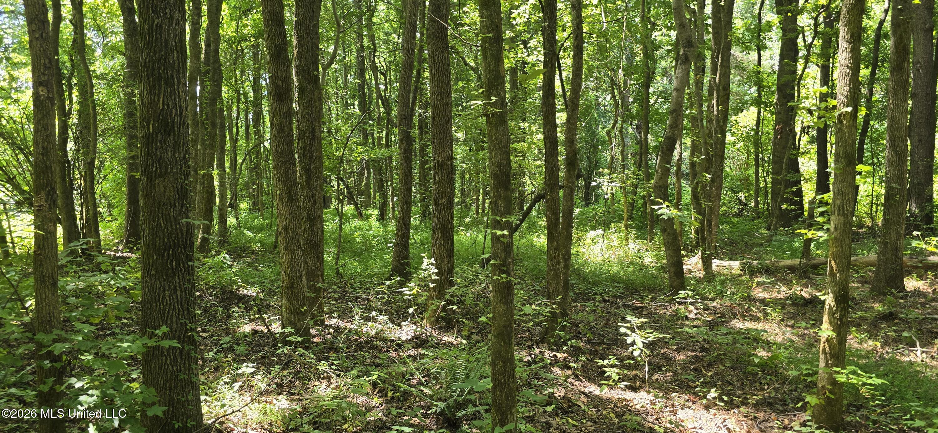 4190 Tuscumbia Road Property Photo 15