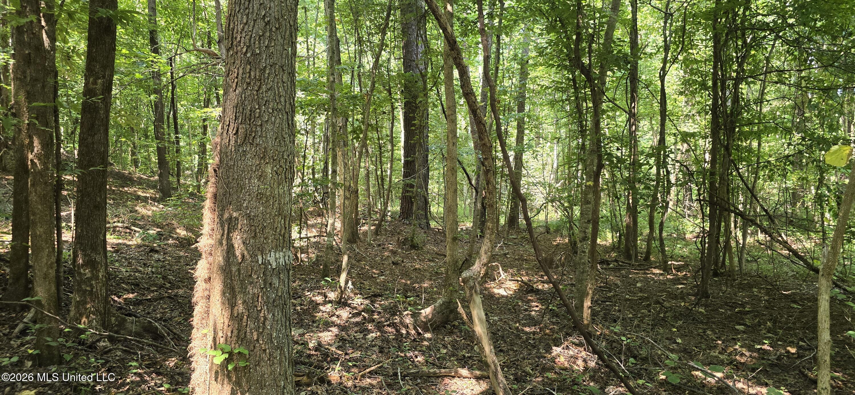 4190 Tuscumbia Road Property Photo 27