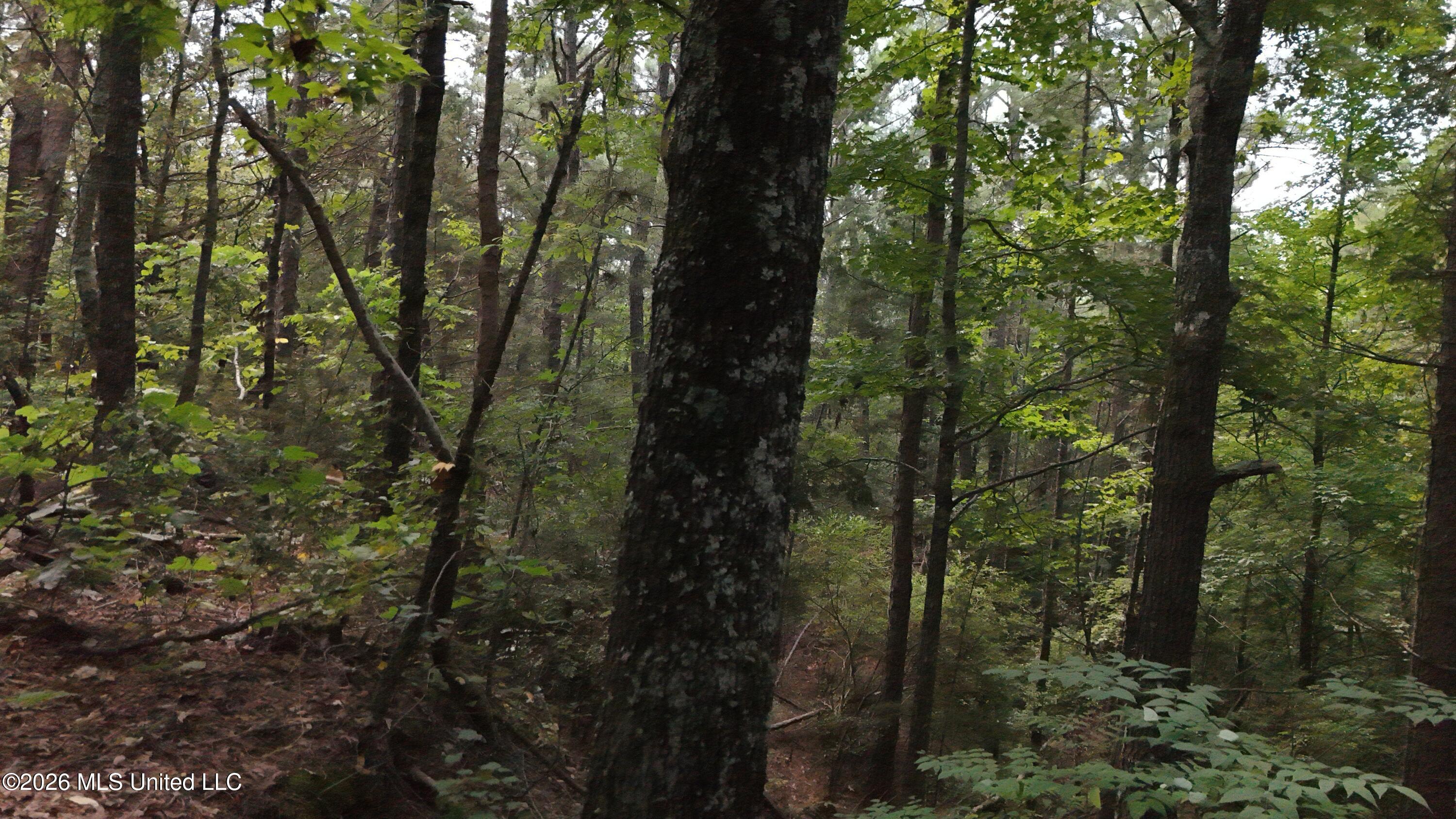 4190 Tuscumbia Road Property Photo 28