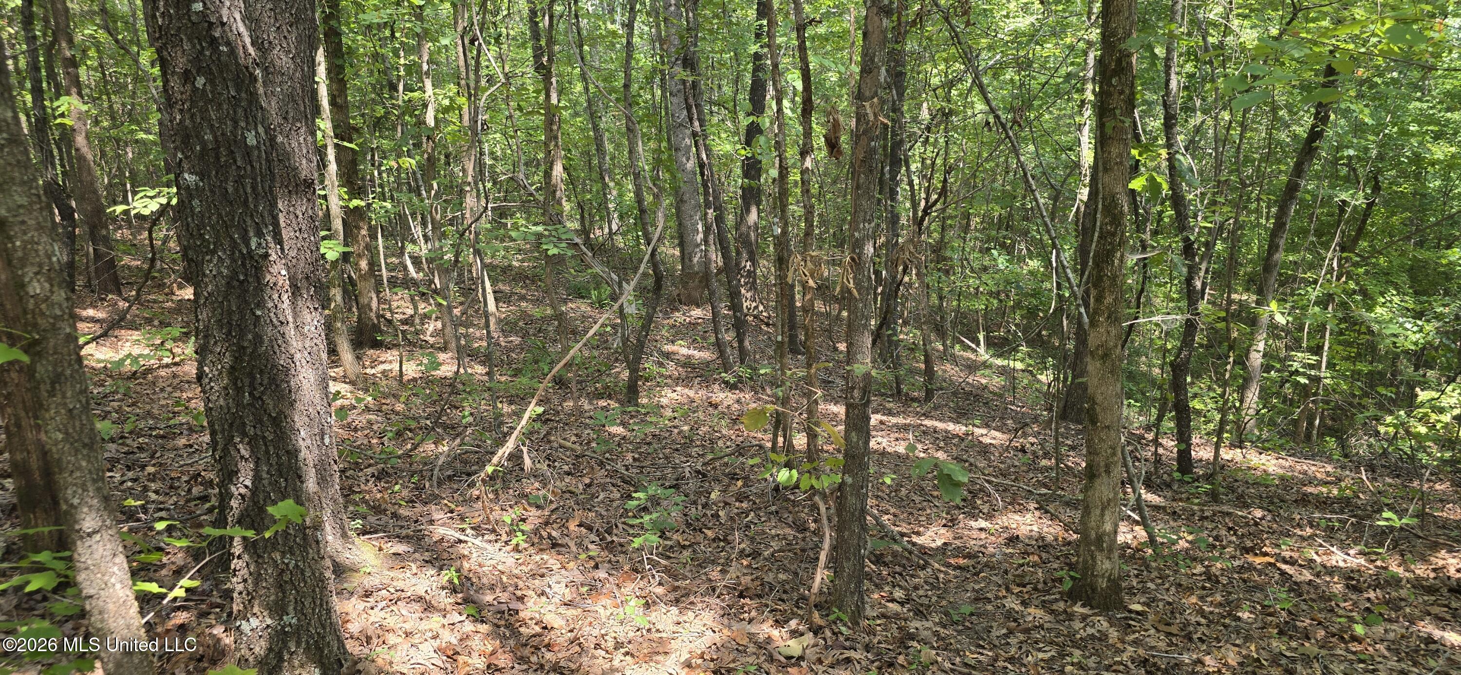 4190 Tuscumbia Road Property Photo 30