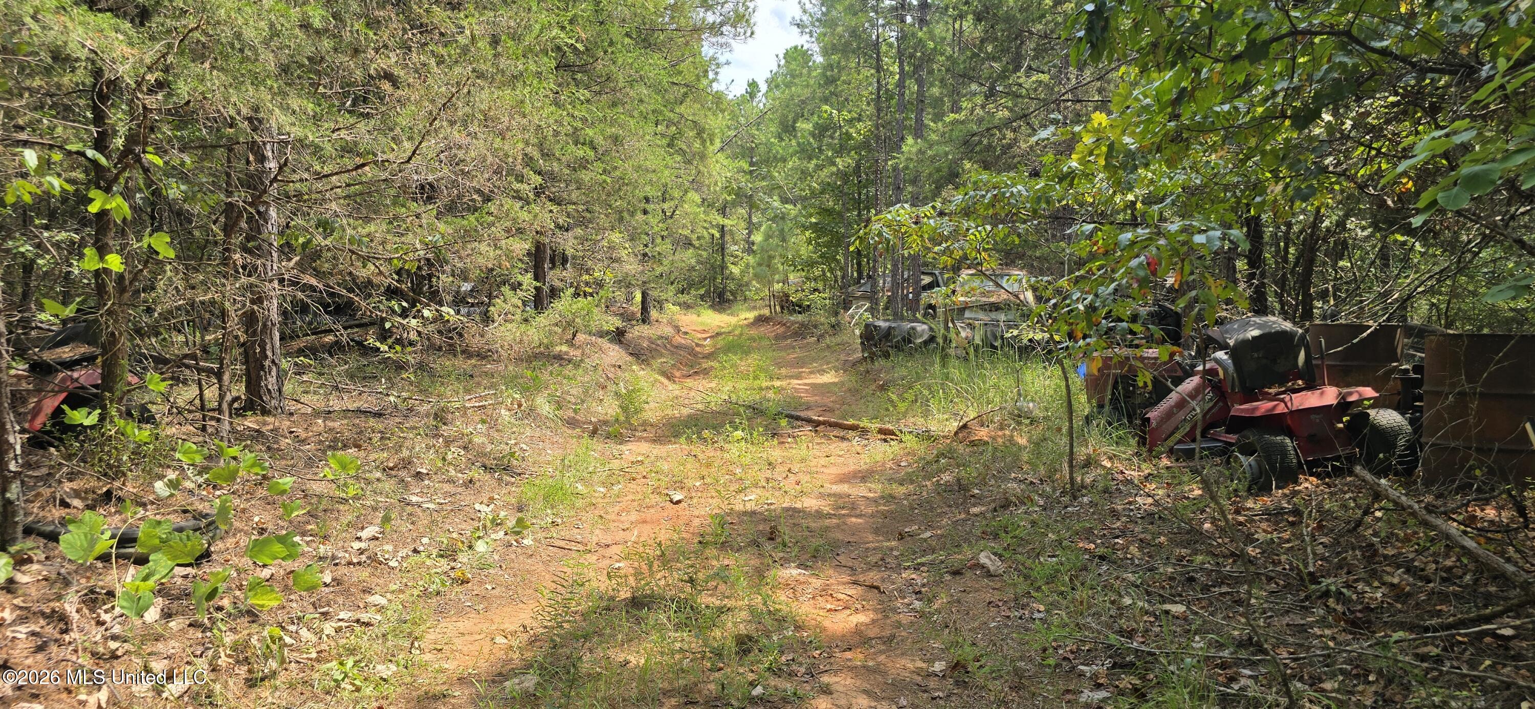 4190 Tuscumbia Road Property Photo 31