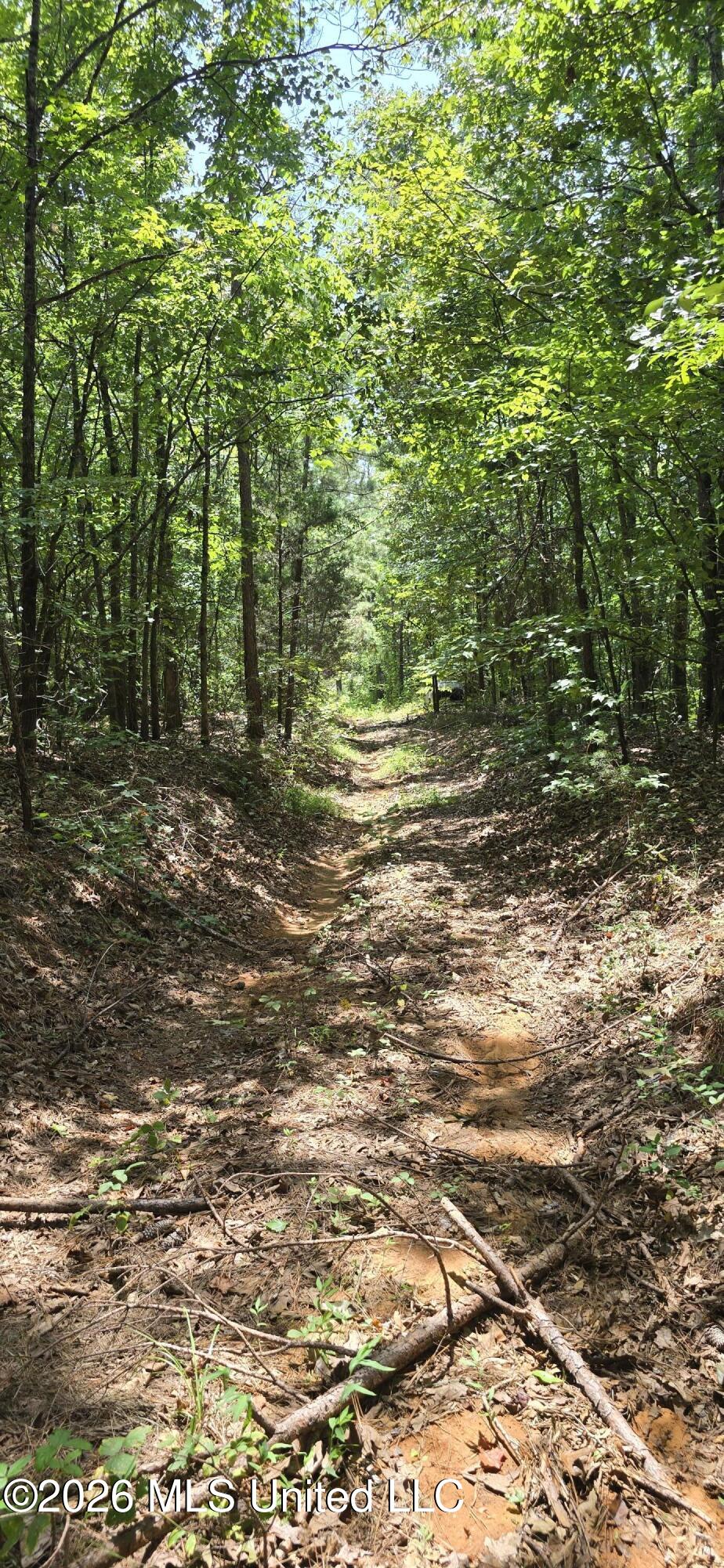 4190 Tuscumbia Road Property Photo 39
