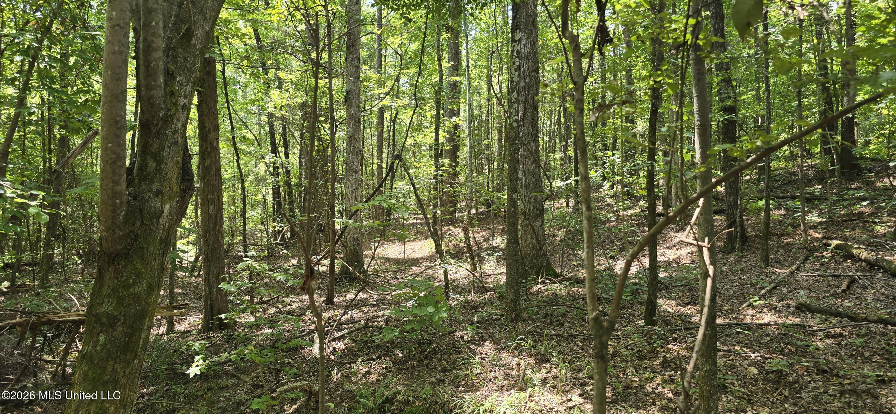 4190 Tuscumbia Road Property Photo 40