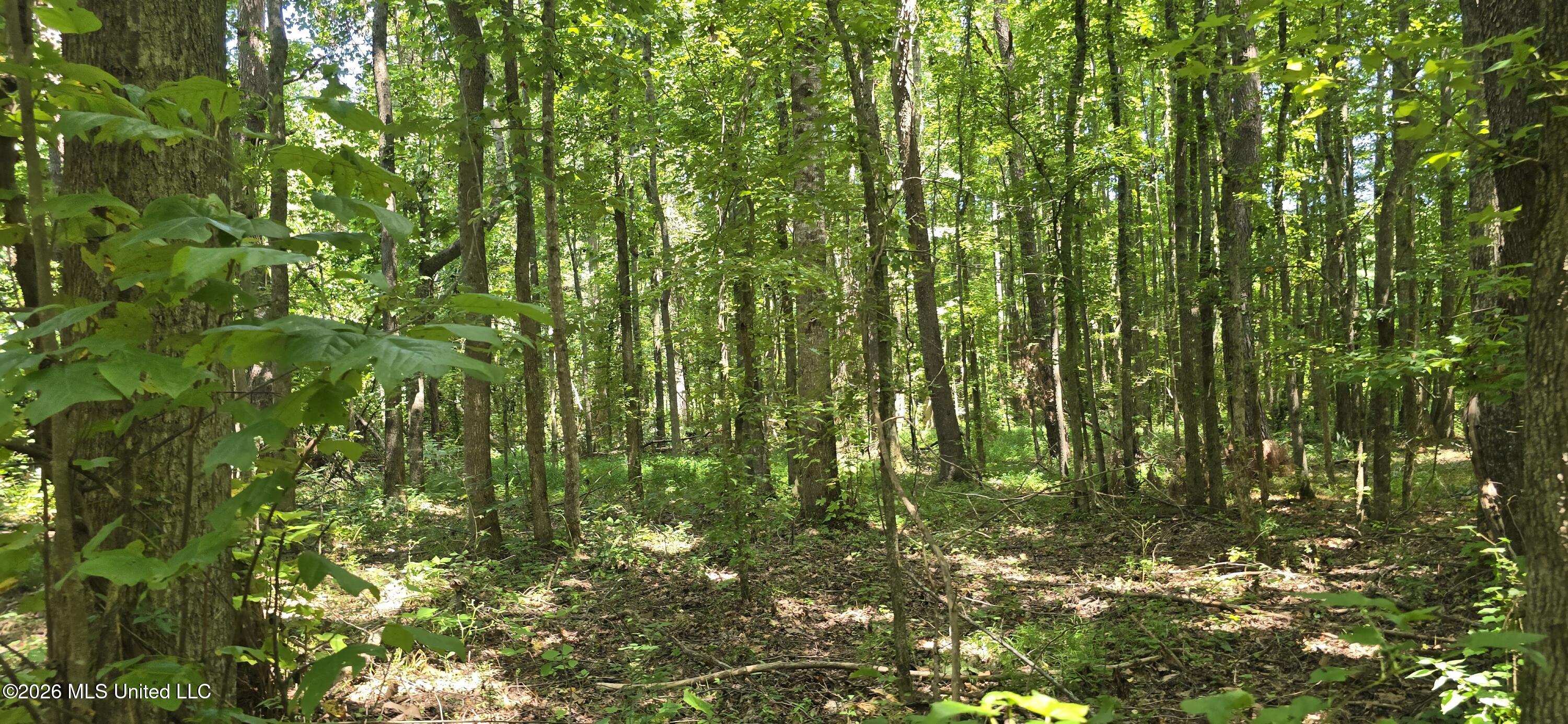 4190 Tuscumbia Road Property Photo 43