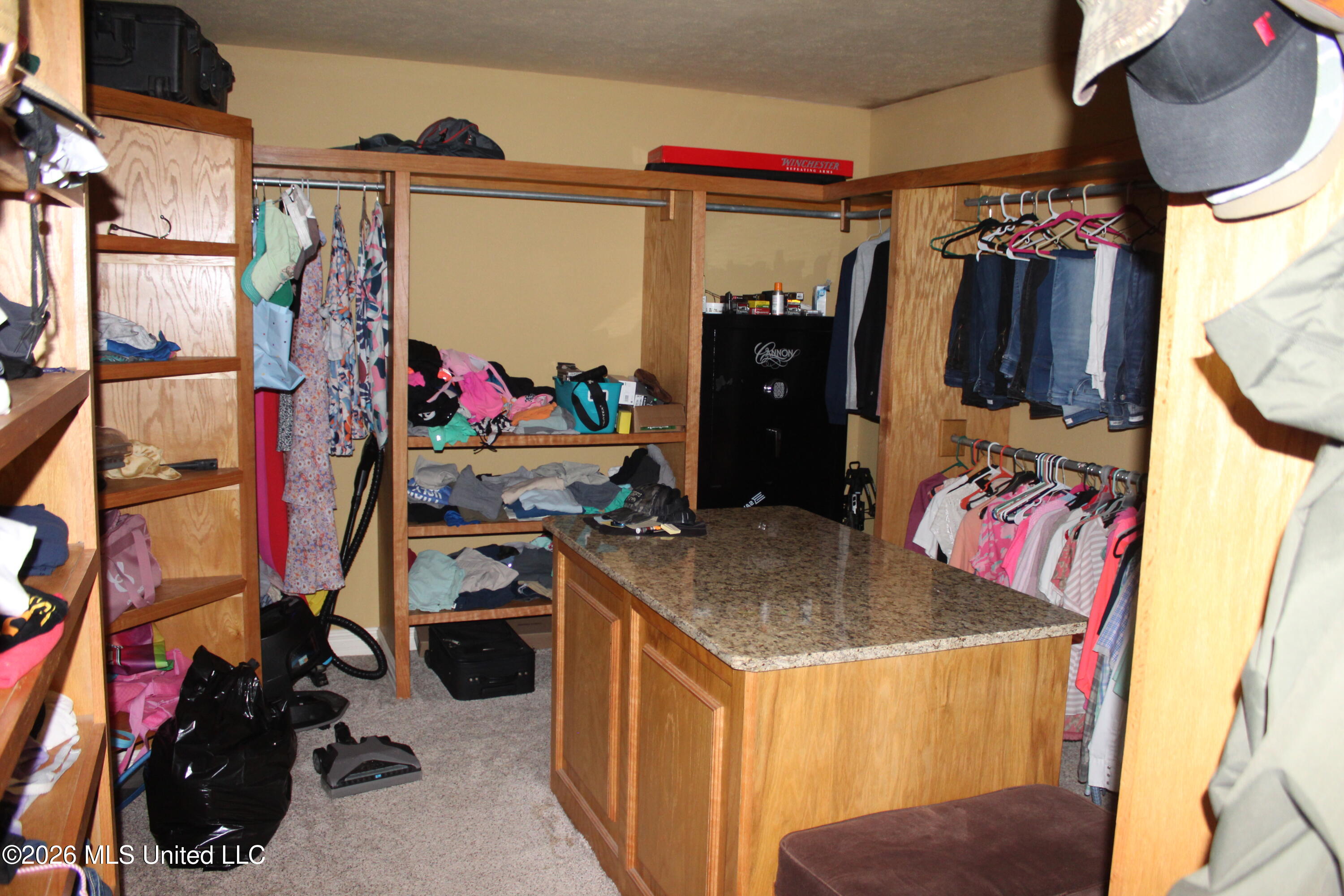 6631 Hamburg Road Property Photo 14