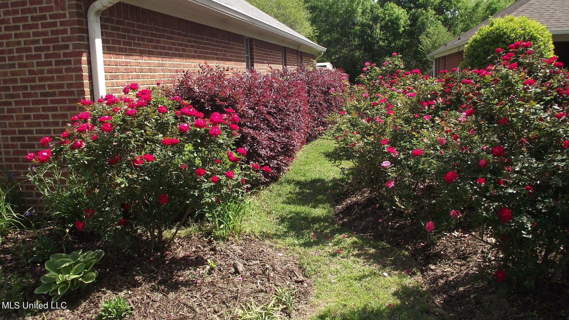 525 Chelsea Way Property Photo 2