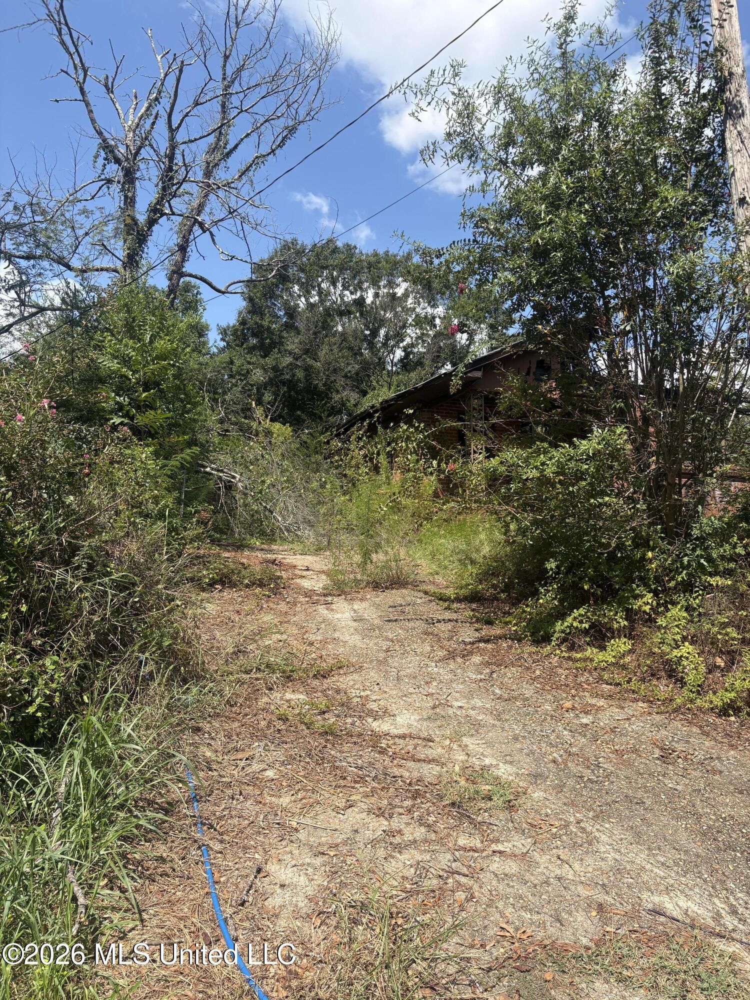 214 Banks Street Property Photo 2