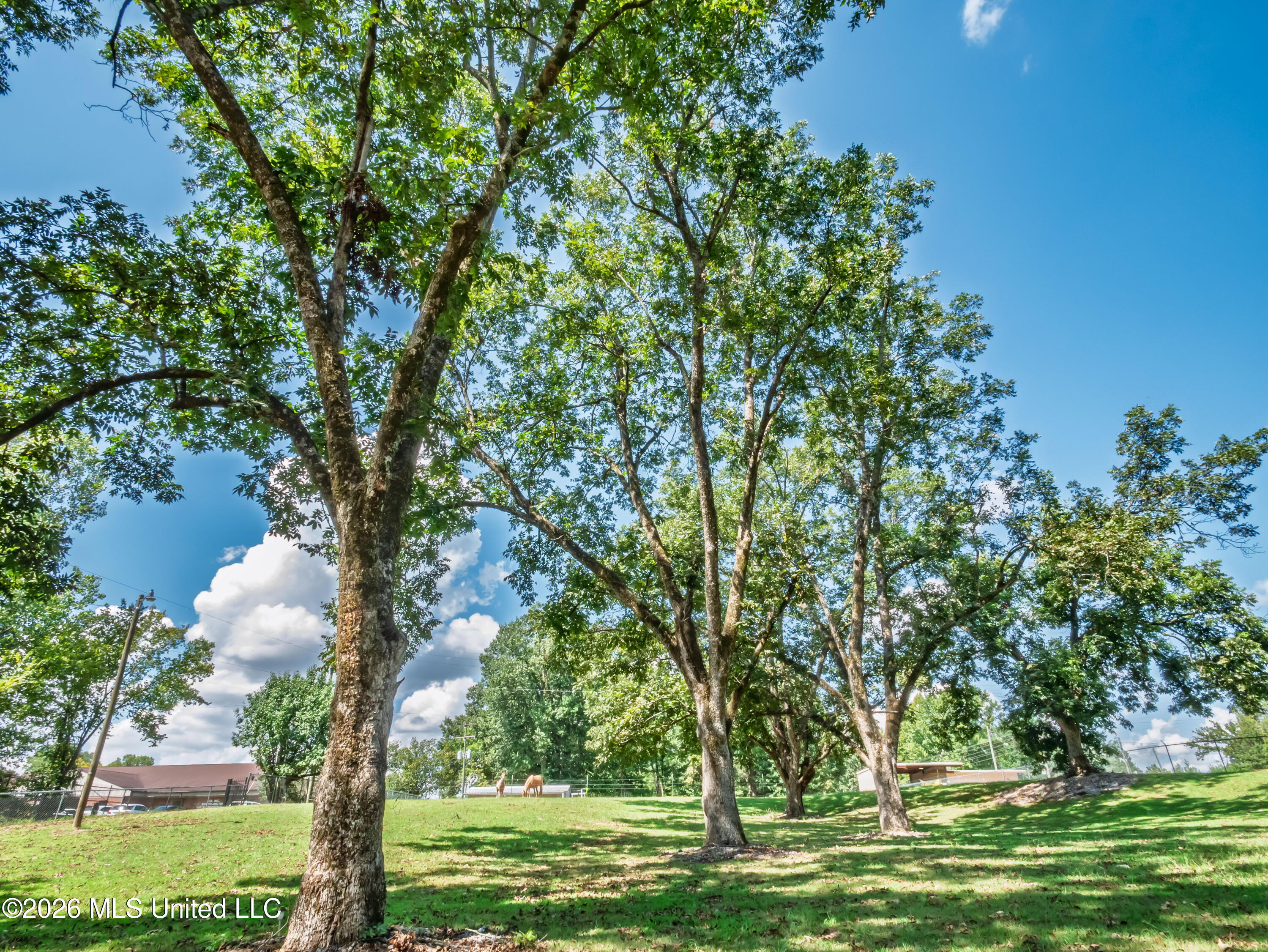 1217 Teasdale Road Property Photo 49