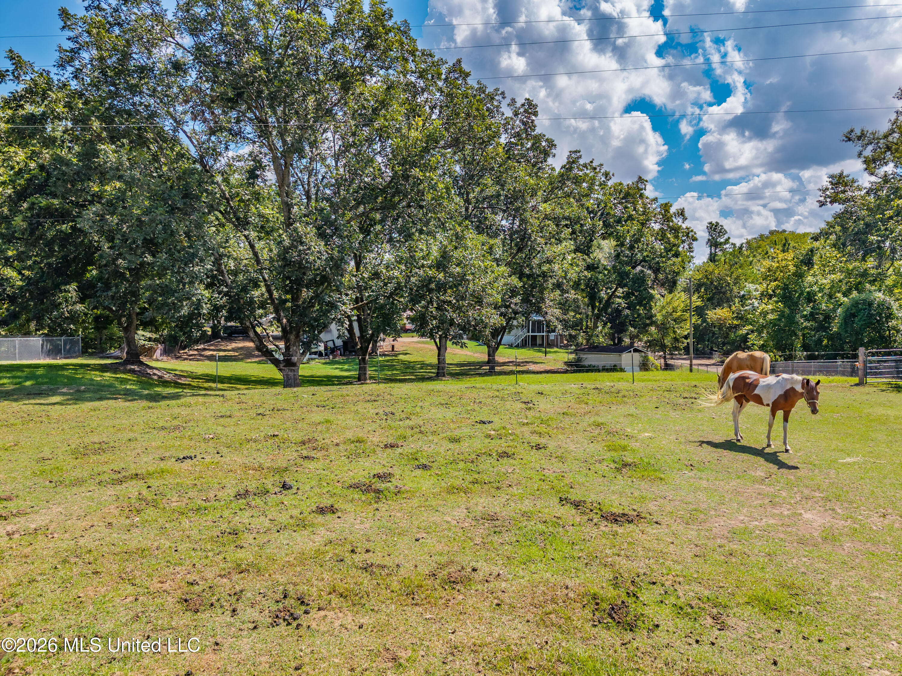 1217 Teasdale Road Property Photo 60
