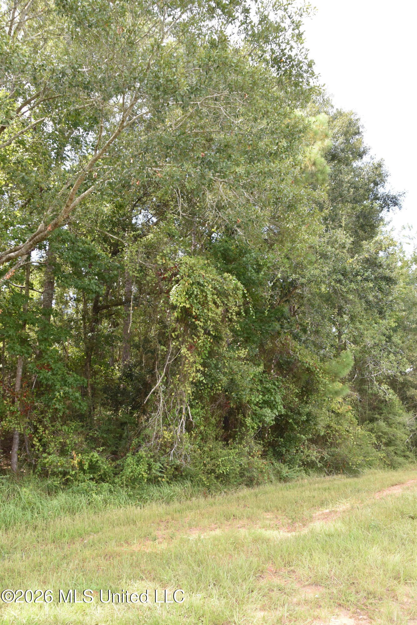 Lobouy Road Property Photo 3