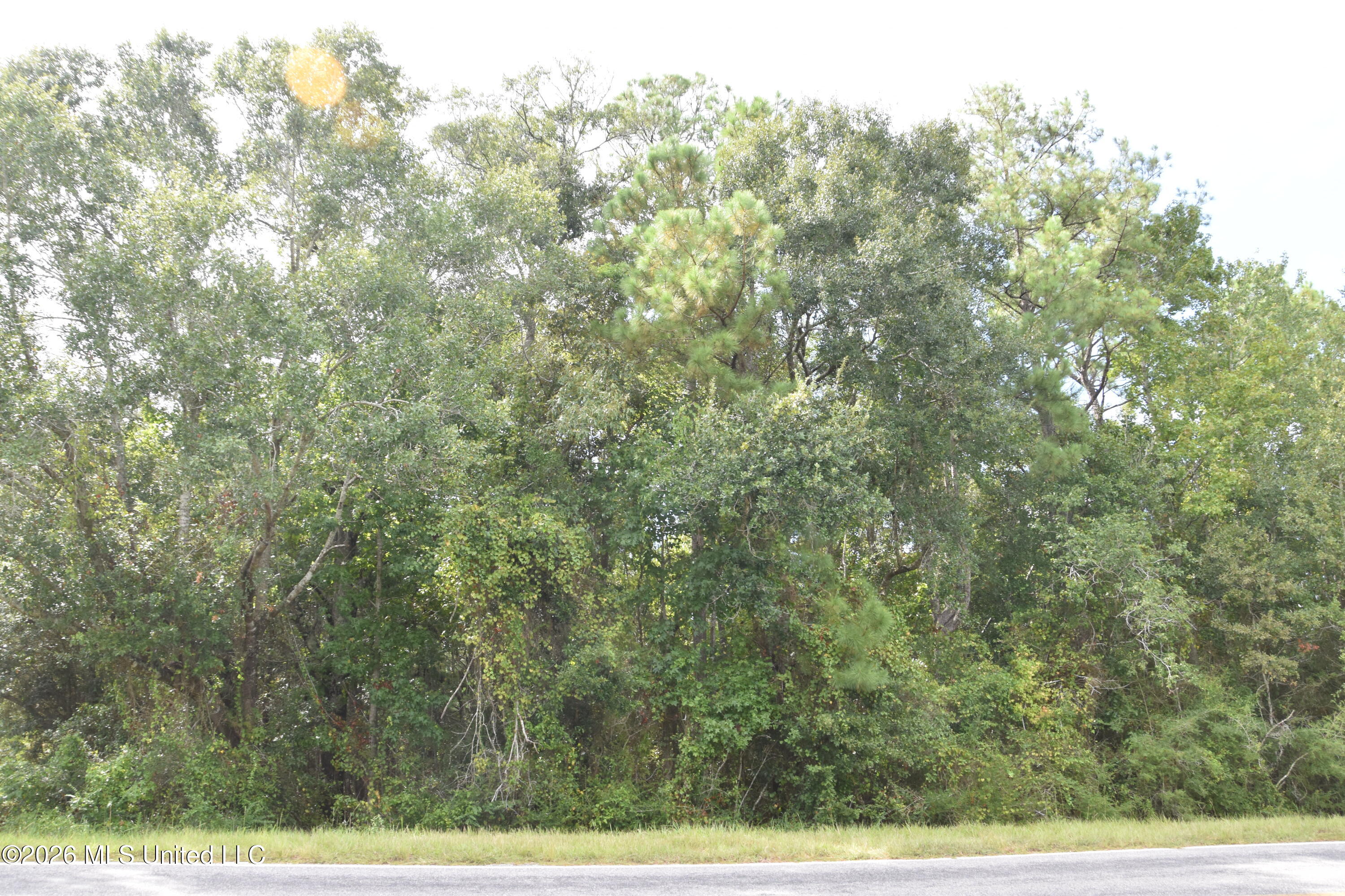 Lobouy Road Property Photo 4