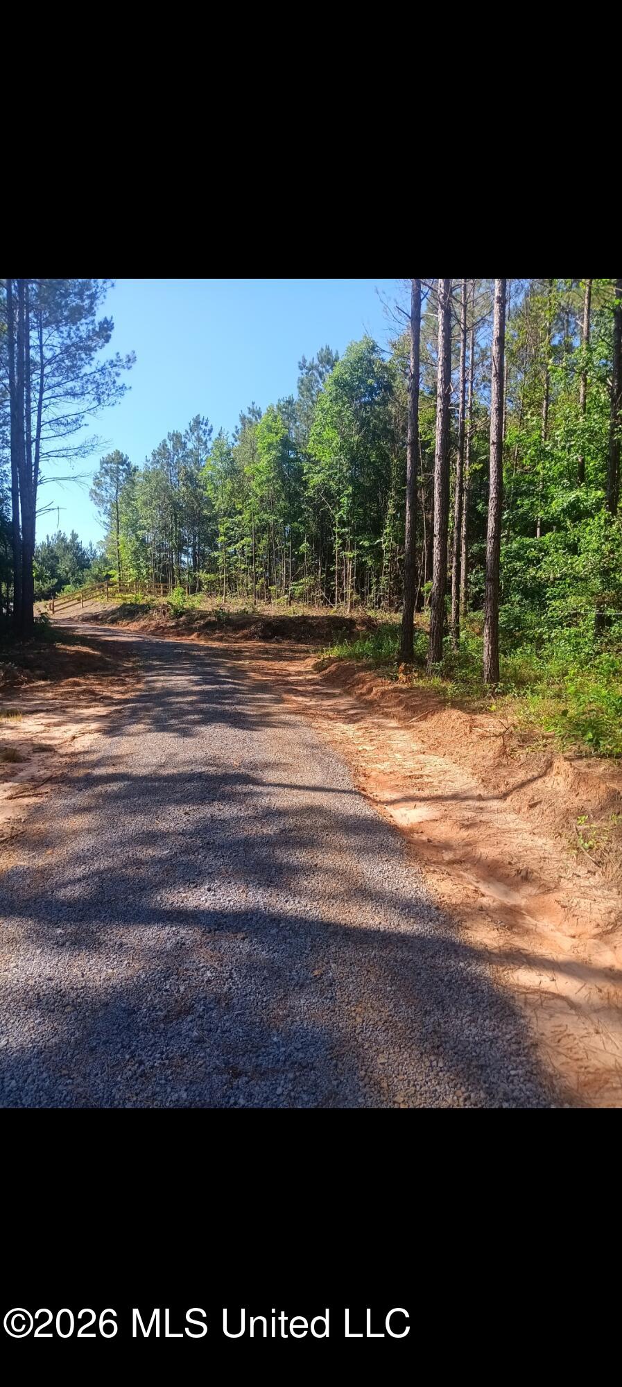 11451 County Road 270 Property Photo 5
