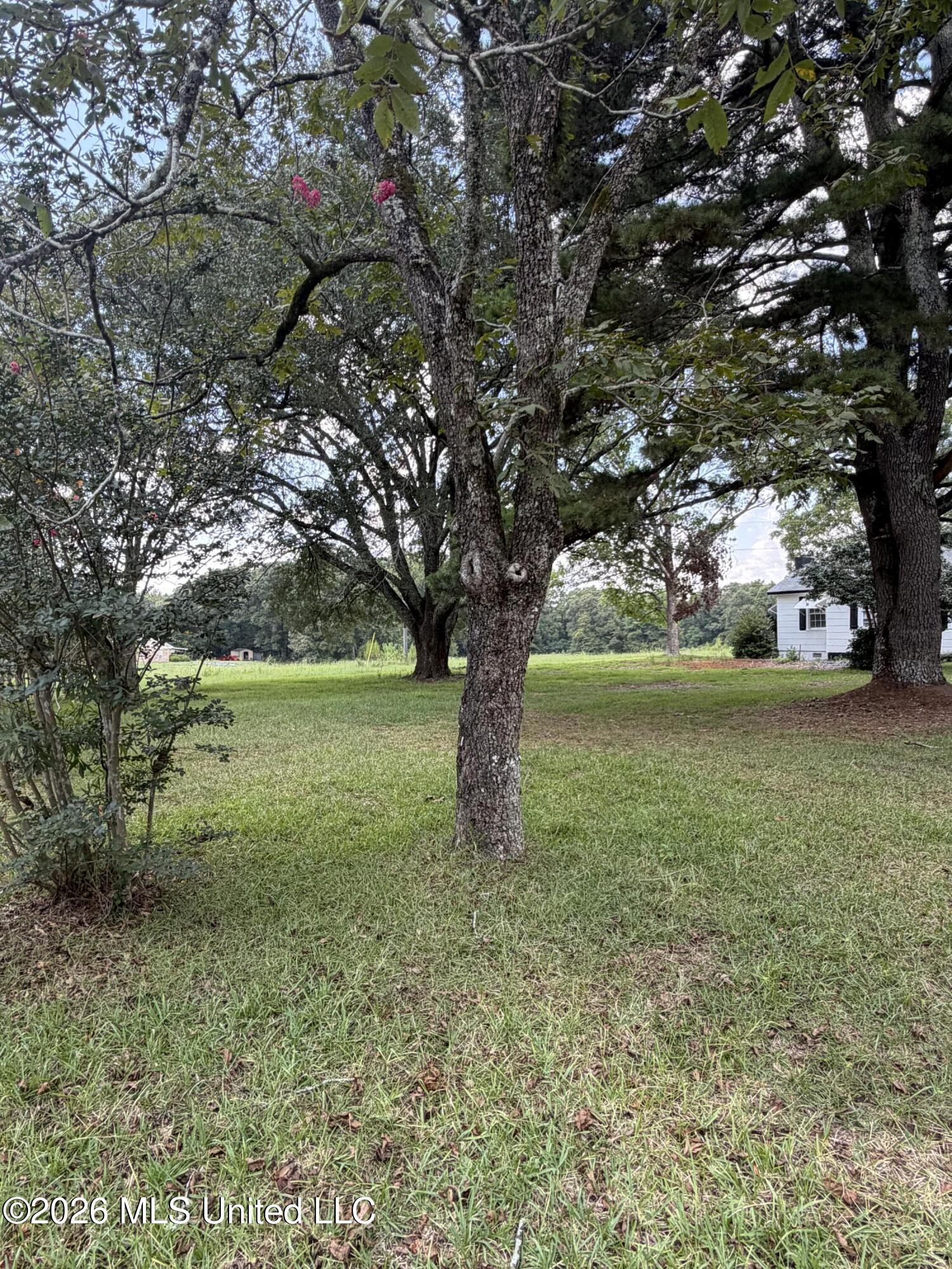 401 Garland Broome Road Property Photo 6