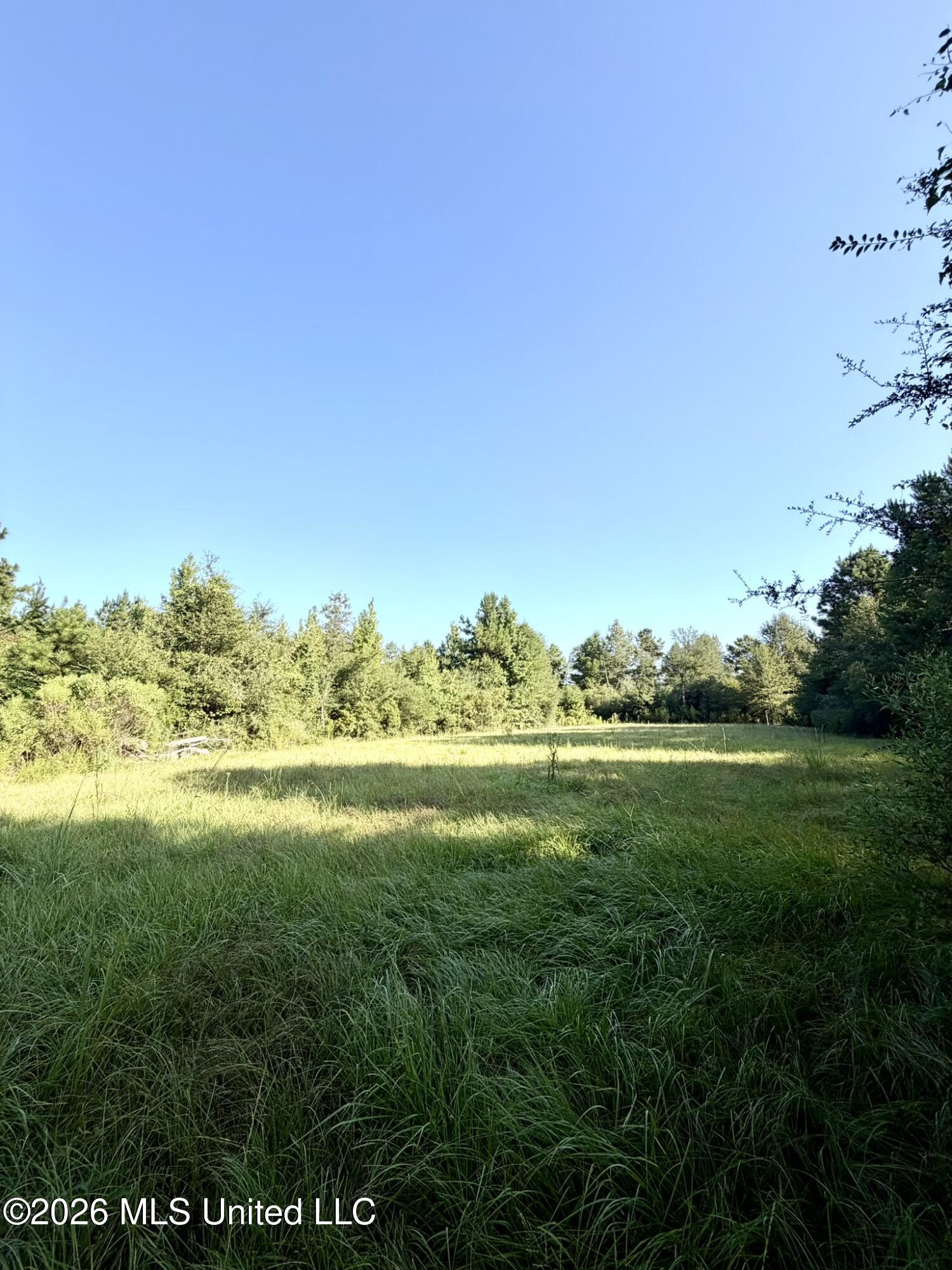 1327c Street Road Property Photo 4