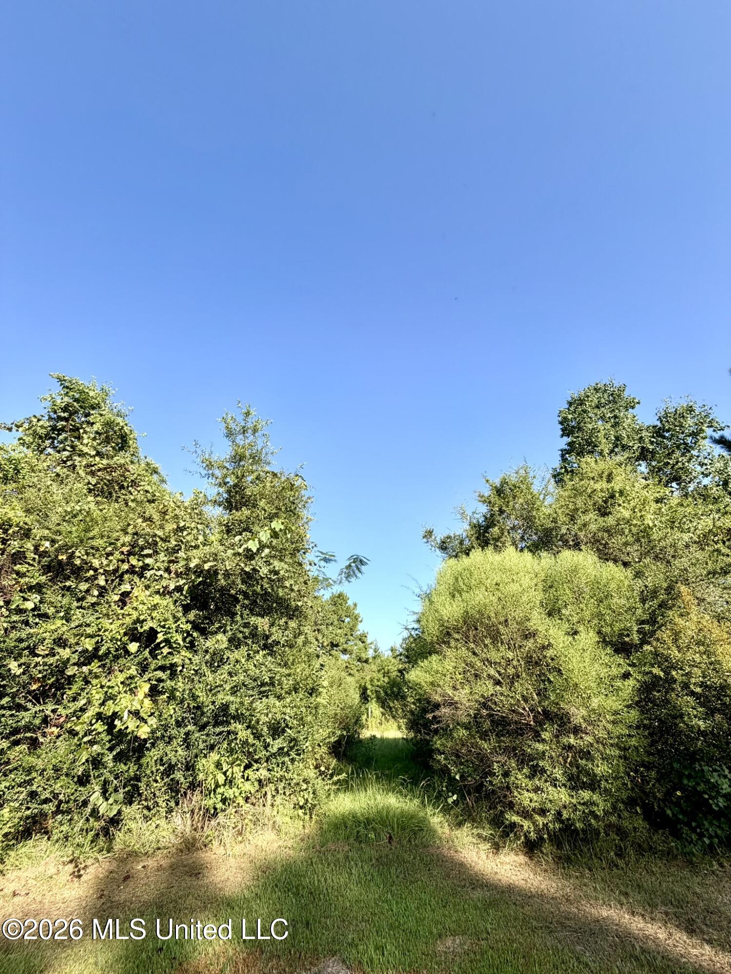 1327c Street Road Property Photo 16
