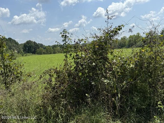 0 Tallabogue Road Property Photo 3