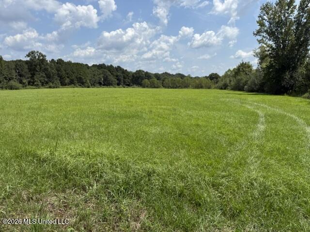 0 Tallabogue Road Property Photo 4