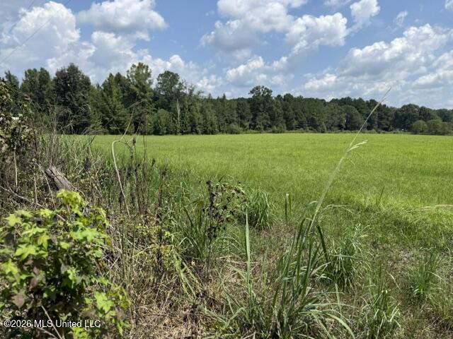 0 Tallabogue Road Property Photo 5