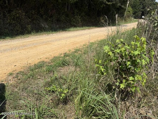 0 Tallabogue Road Property Photo 6