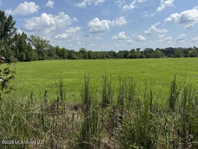 0 Tallabogue Road Property Photo 7