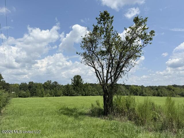 0 Tallabogue Road Property Photo 9