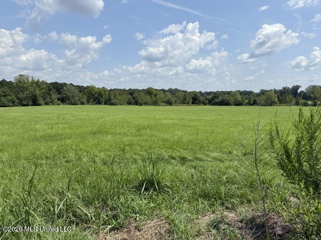 0 Tallabogue Road Property Photo 10