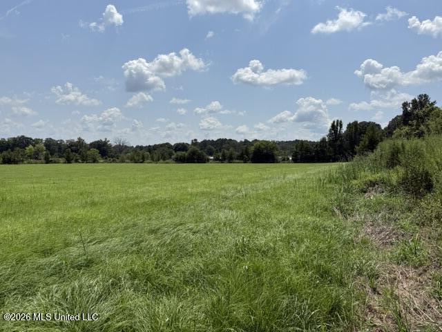 0 Tallabogue Road Property Photo 11