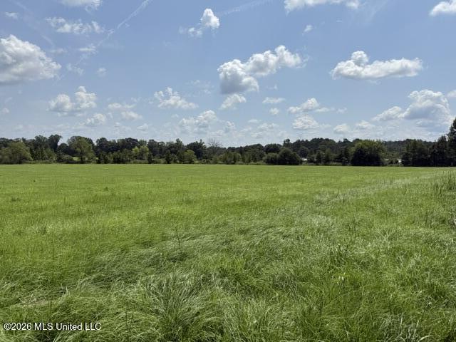 0 Tallabogue Road Property Photo 12