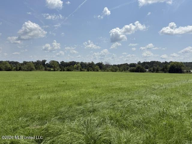 0 Tallabogue Road Property Photo 13
