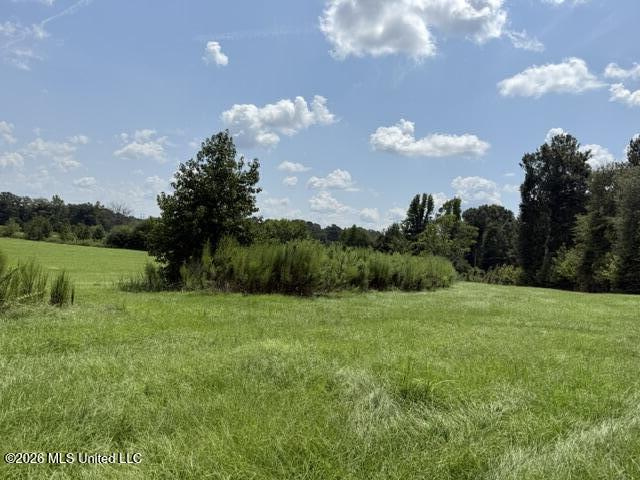 0 Tallabogue Road Property Photo 14