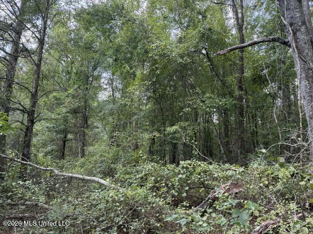 0 Tallabogue Road Property Photo 19