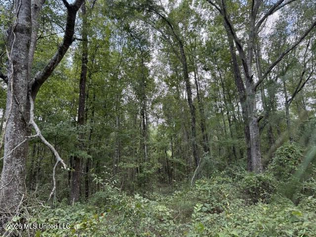 0 Tallabogue Road Property Photo 20