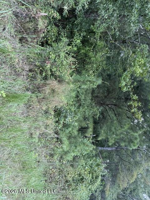 0 Tallabogue Road Property Photo 21