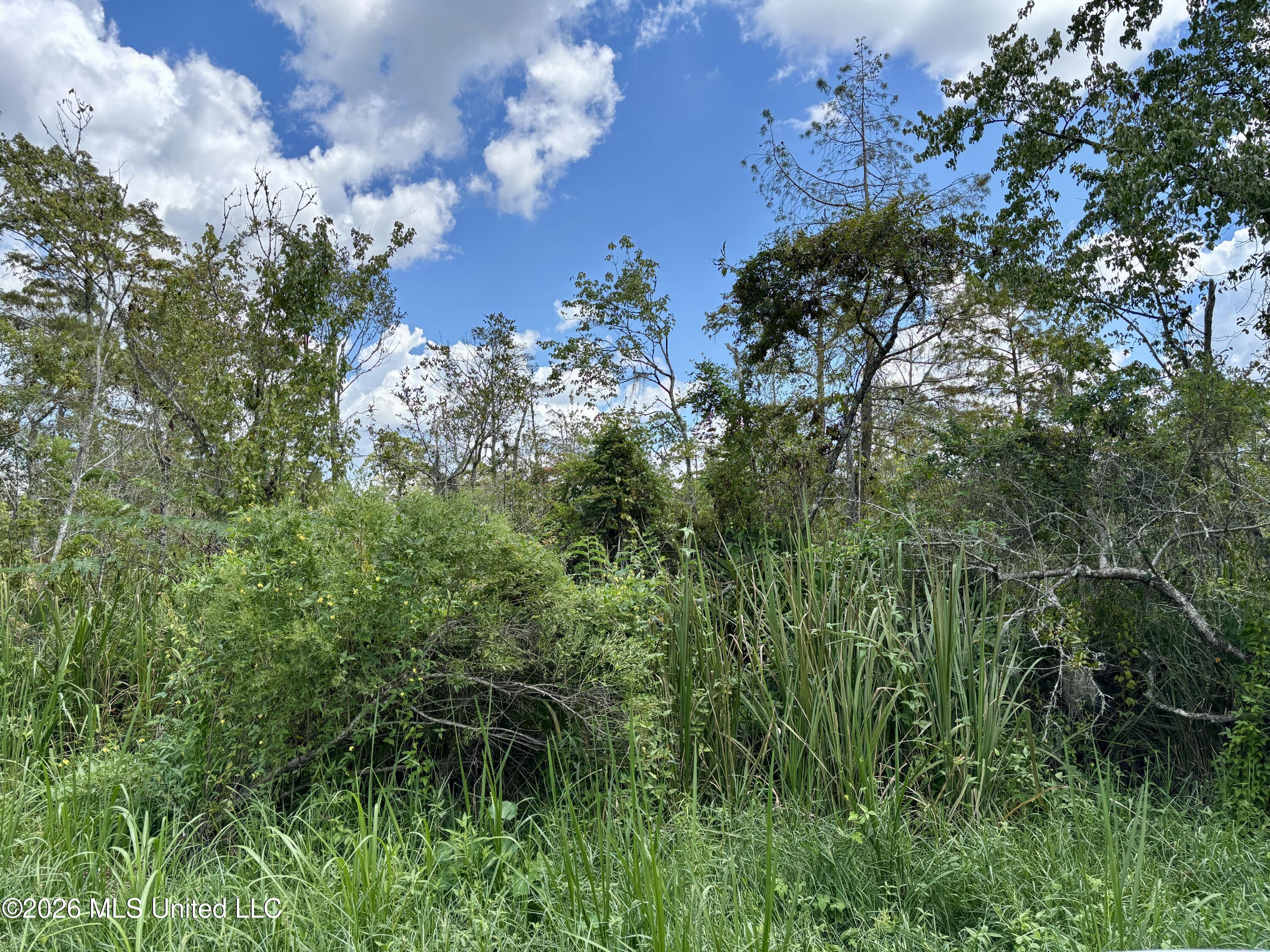 Cochran Avenue Property Photo 7