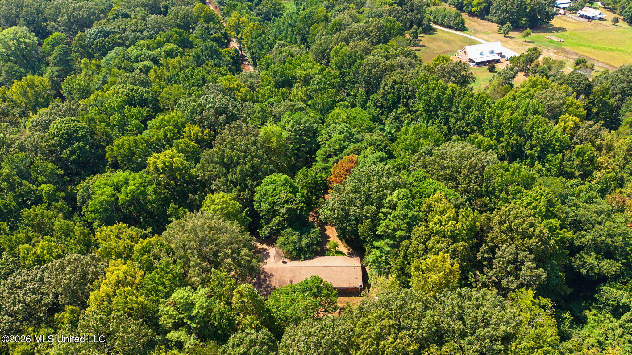 3206 Fogg Road Property Photo 28