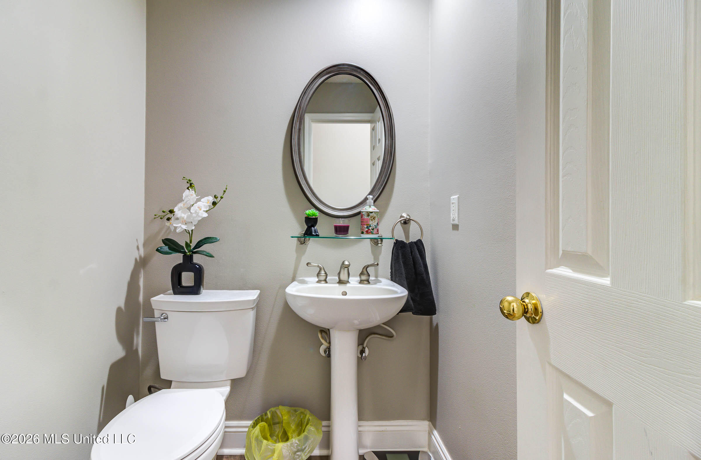 15352 Sugar Cane Cove Property Photo 22