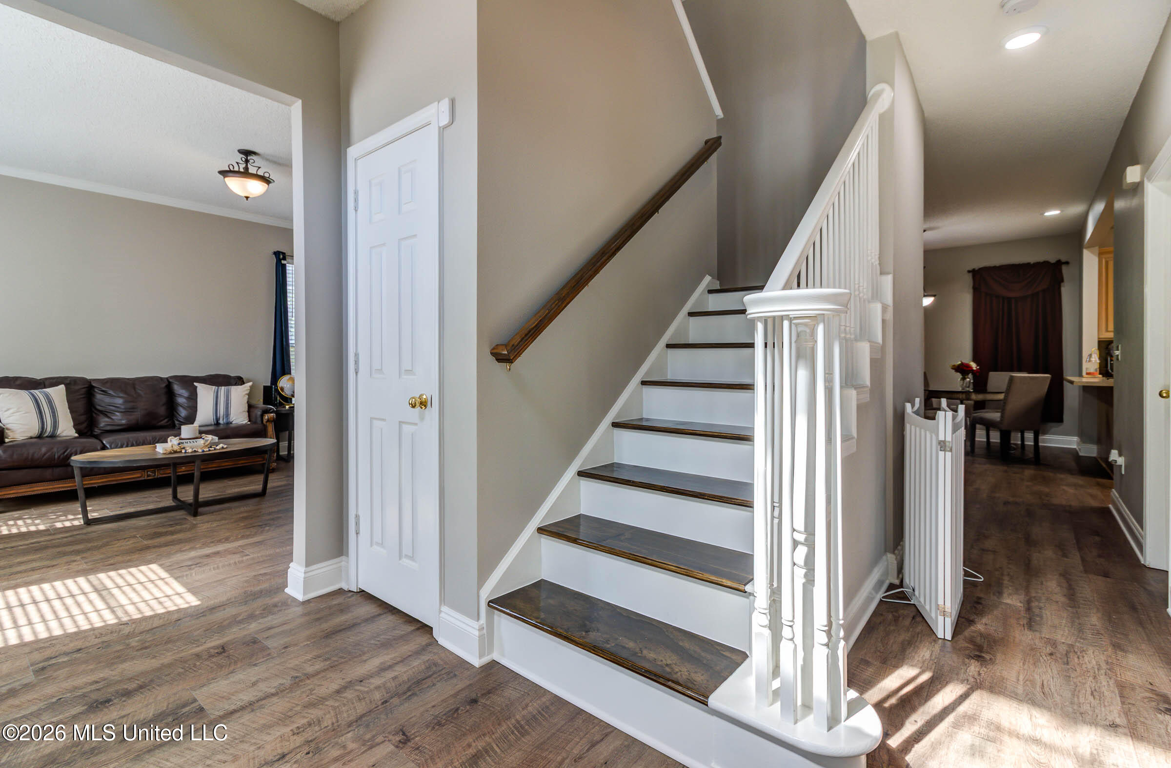 15352 Sugar Cane Cove Property Photo 23