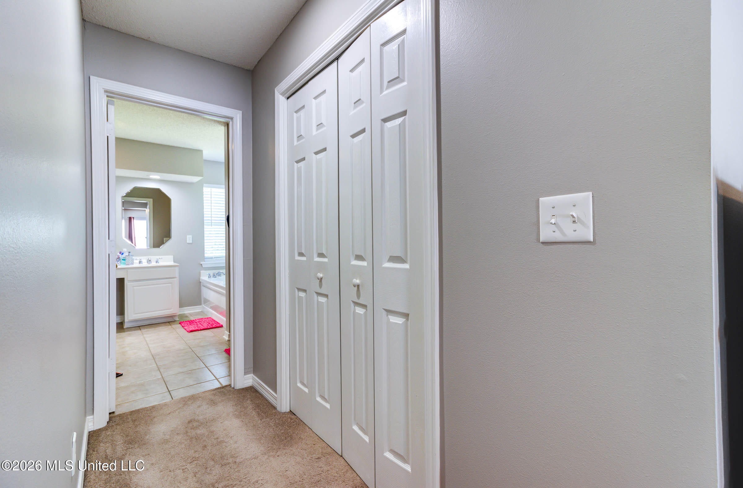 15352 Sugar Cane Cove Property Photo 27