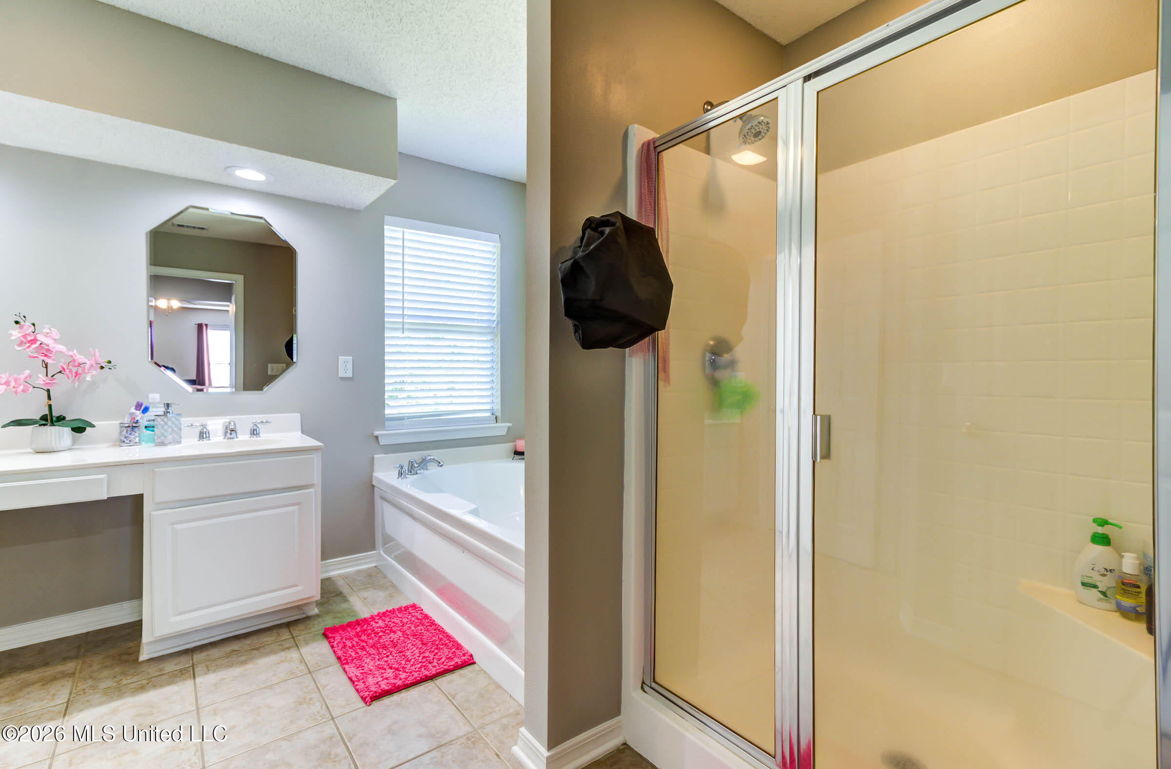 15352 Sugar Cane Cove Property Photo 28