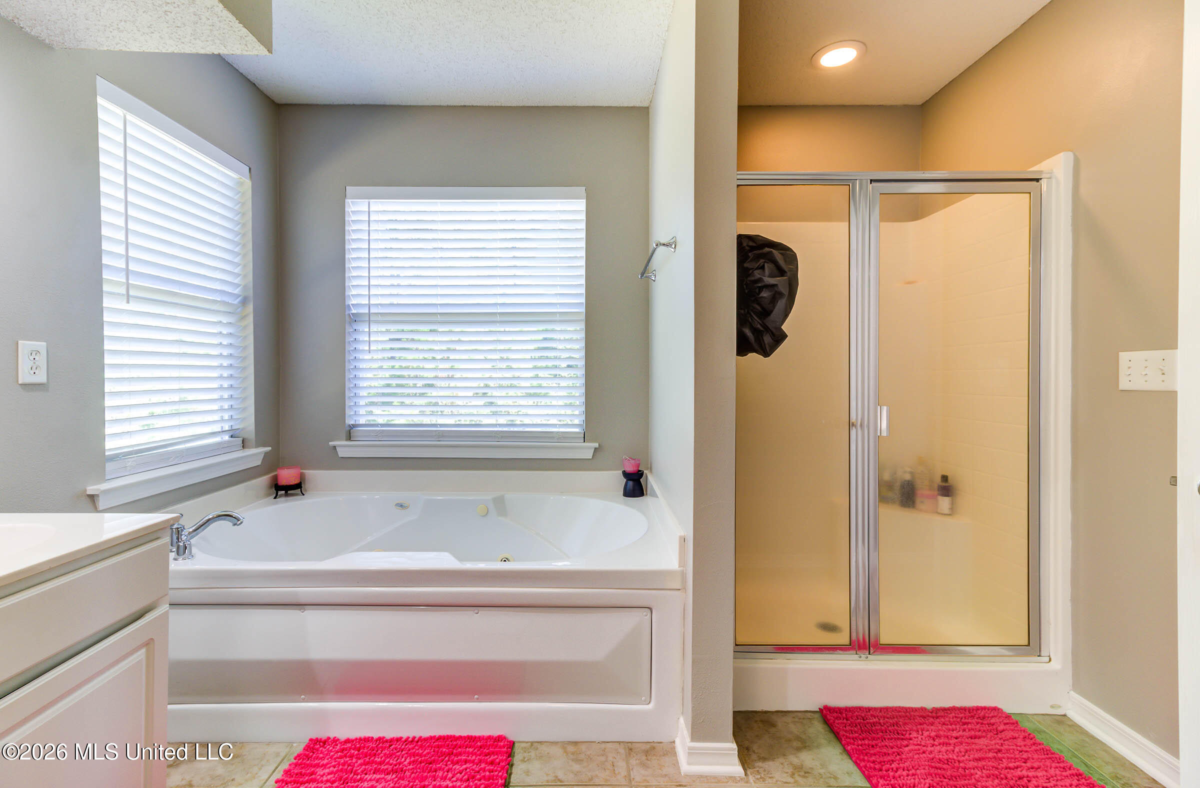 15352 Sugar Cane Cove Property Photo 29