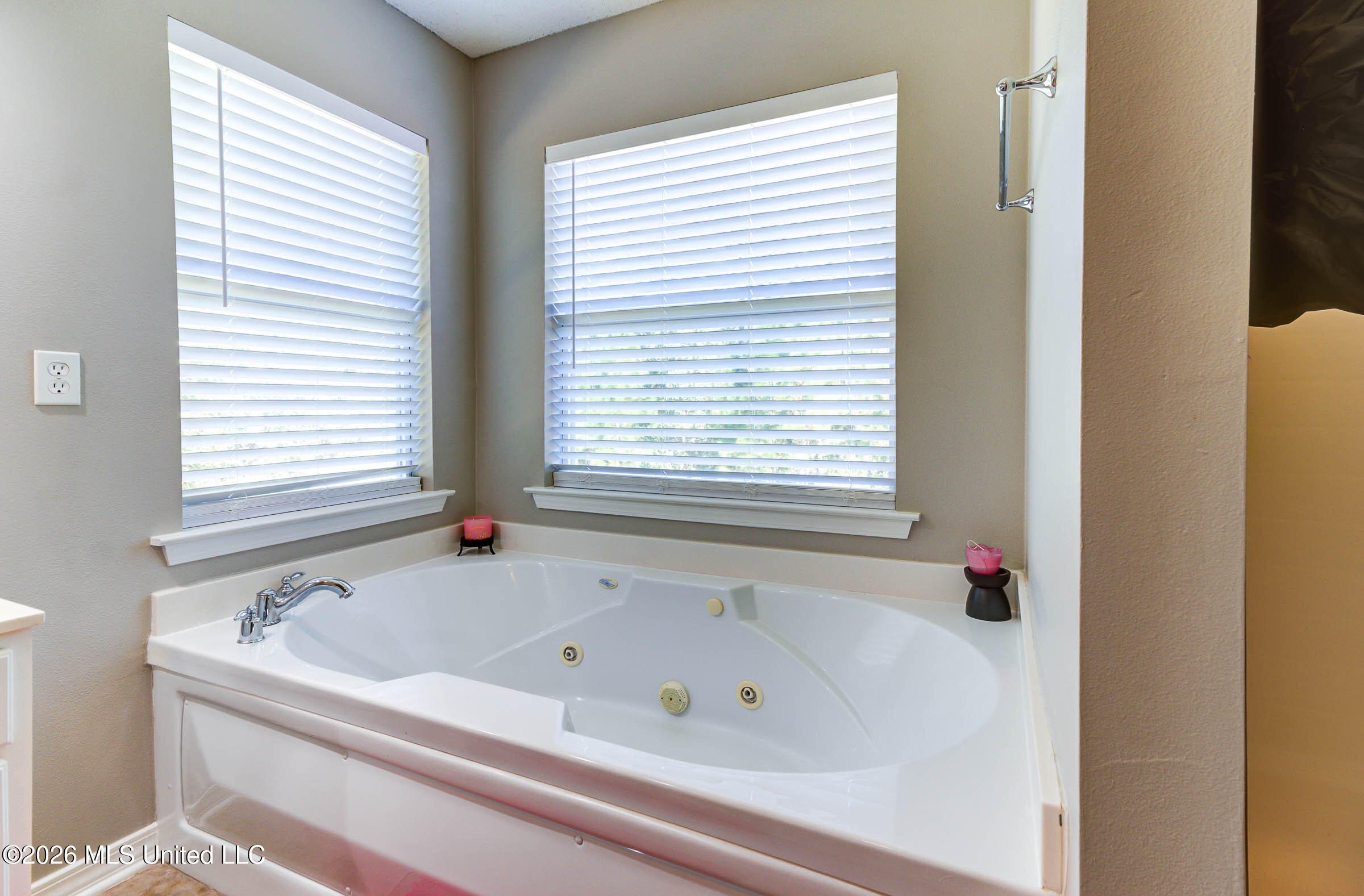 15352 Sugar Cane Cove Property Photo 31