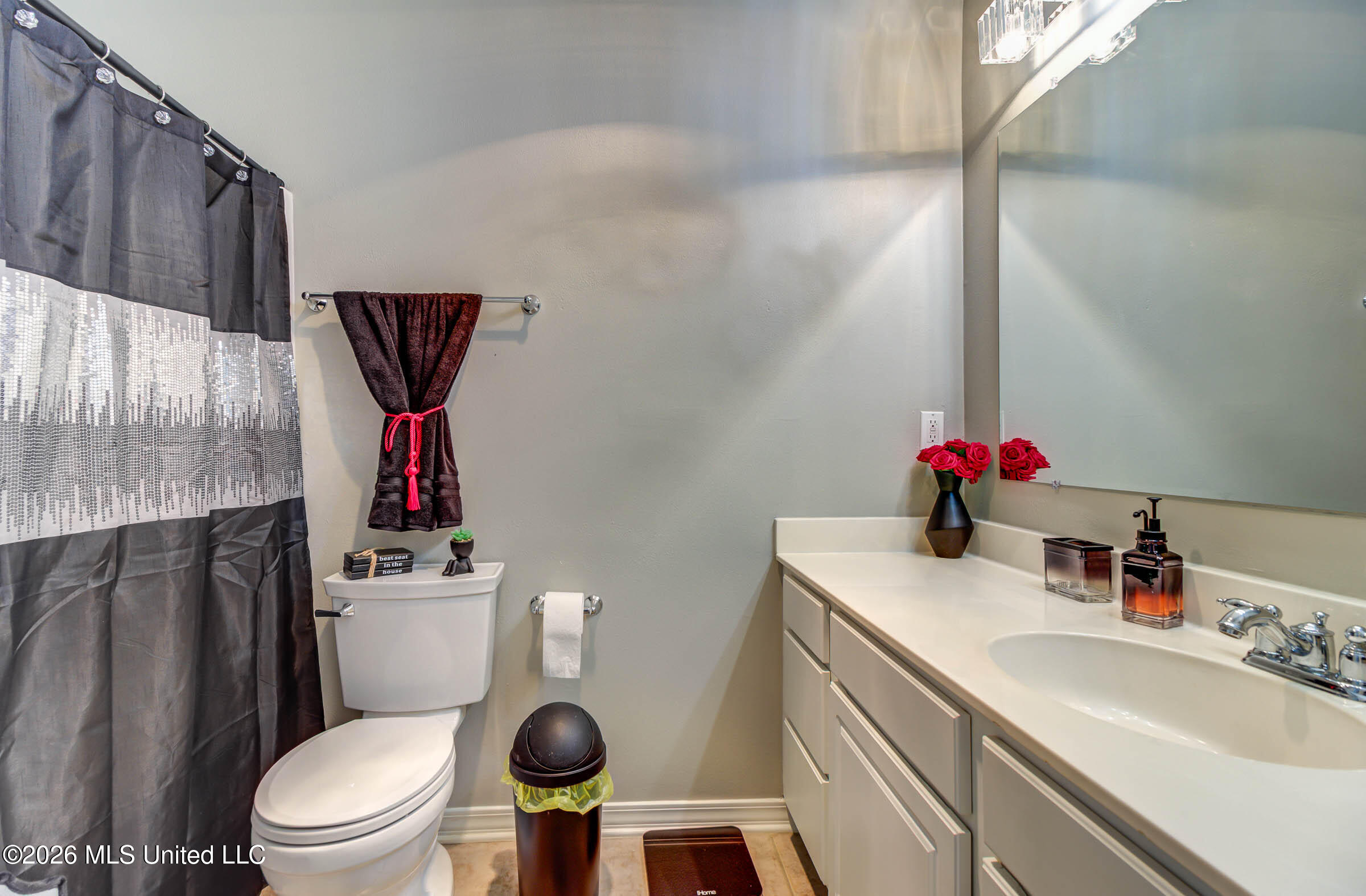 15352 Sugar Cane Cove Property Photo 38