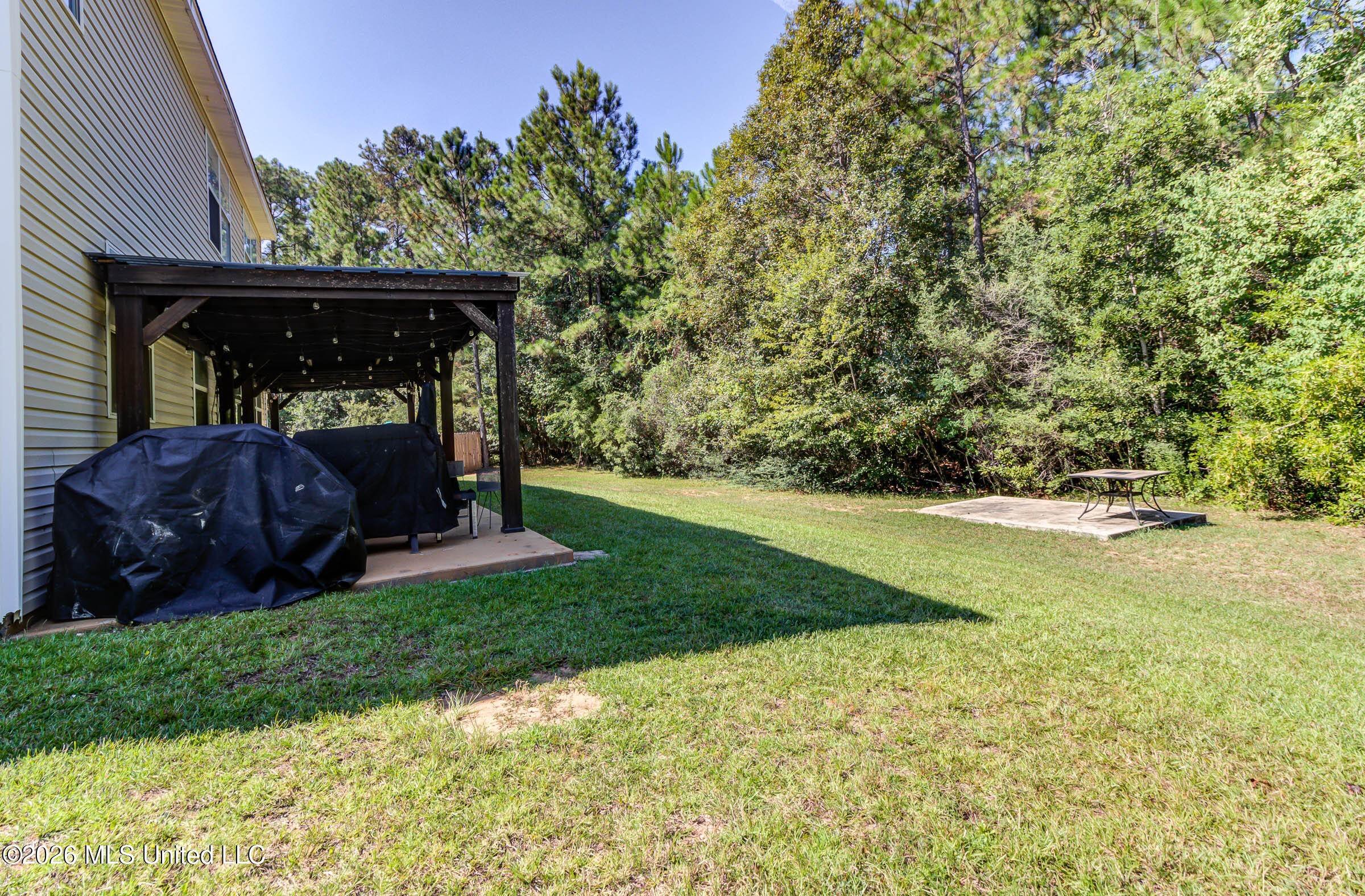 15352 Sugar Cane Cove Property Photo 45