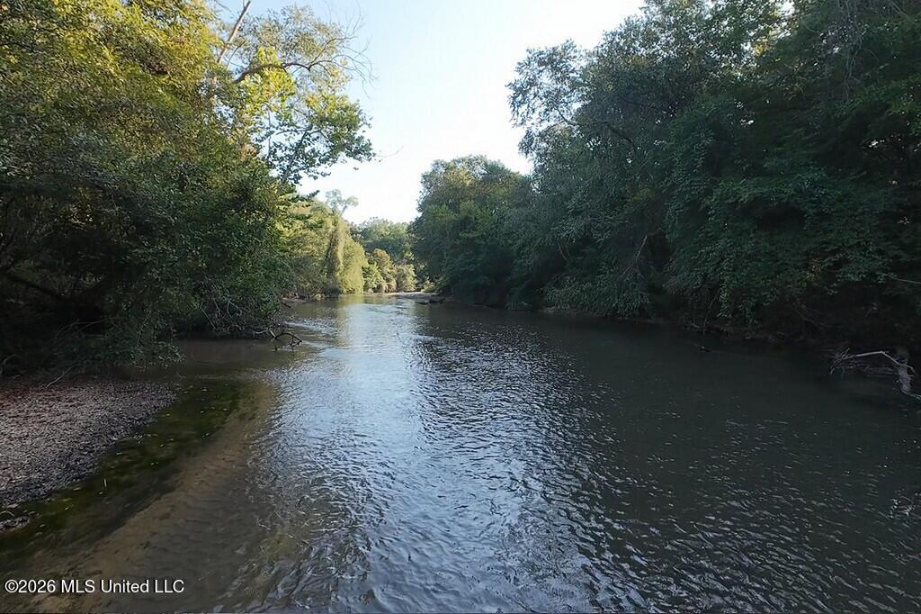 River Road Property Photo 8