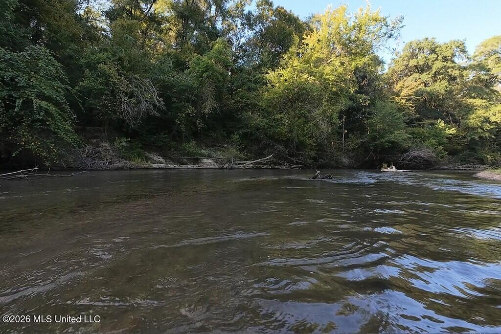 River Road Property Photo 9