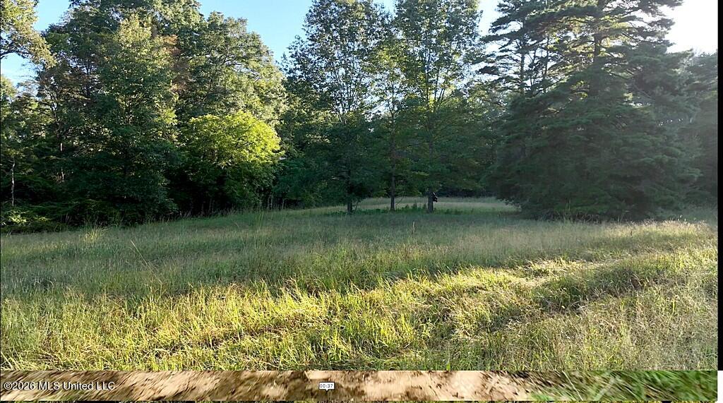 River Road Property Photo 13