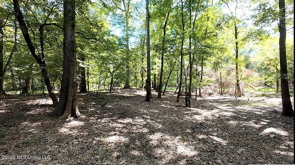 River Road Property Photo 18