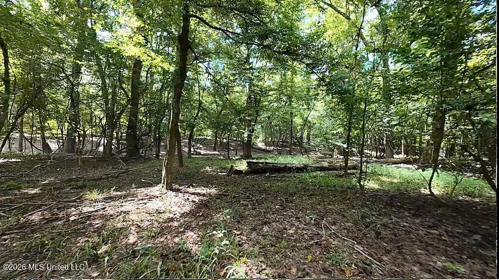 River Road Property Photo 19