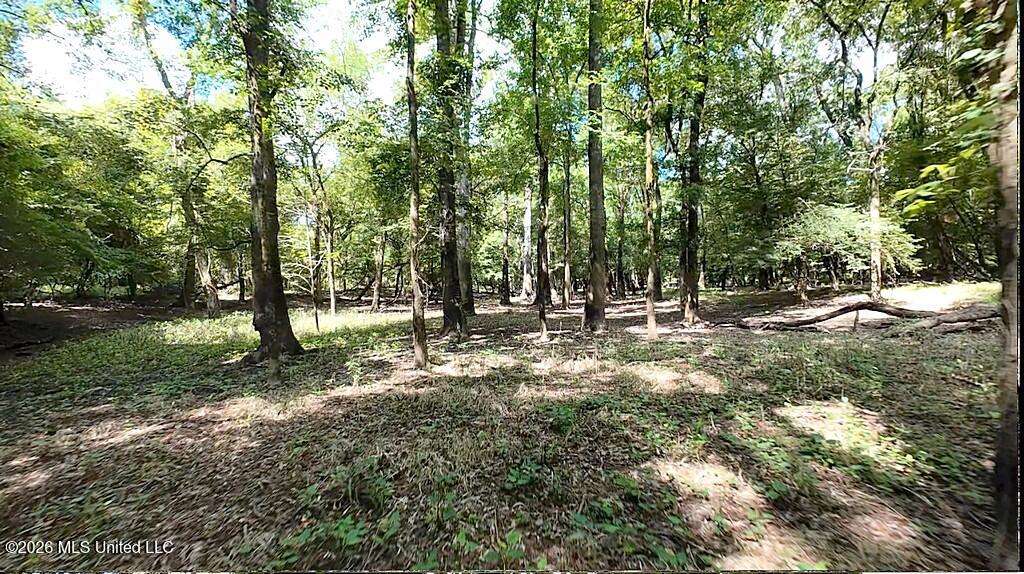 River Road Property Photo 20