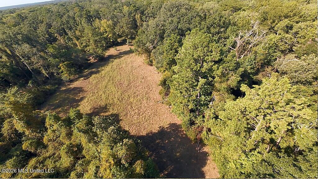 River Road Property Photo 23